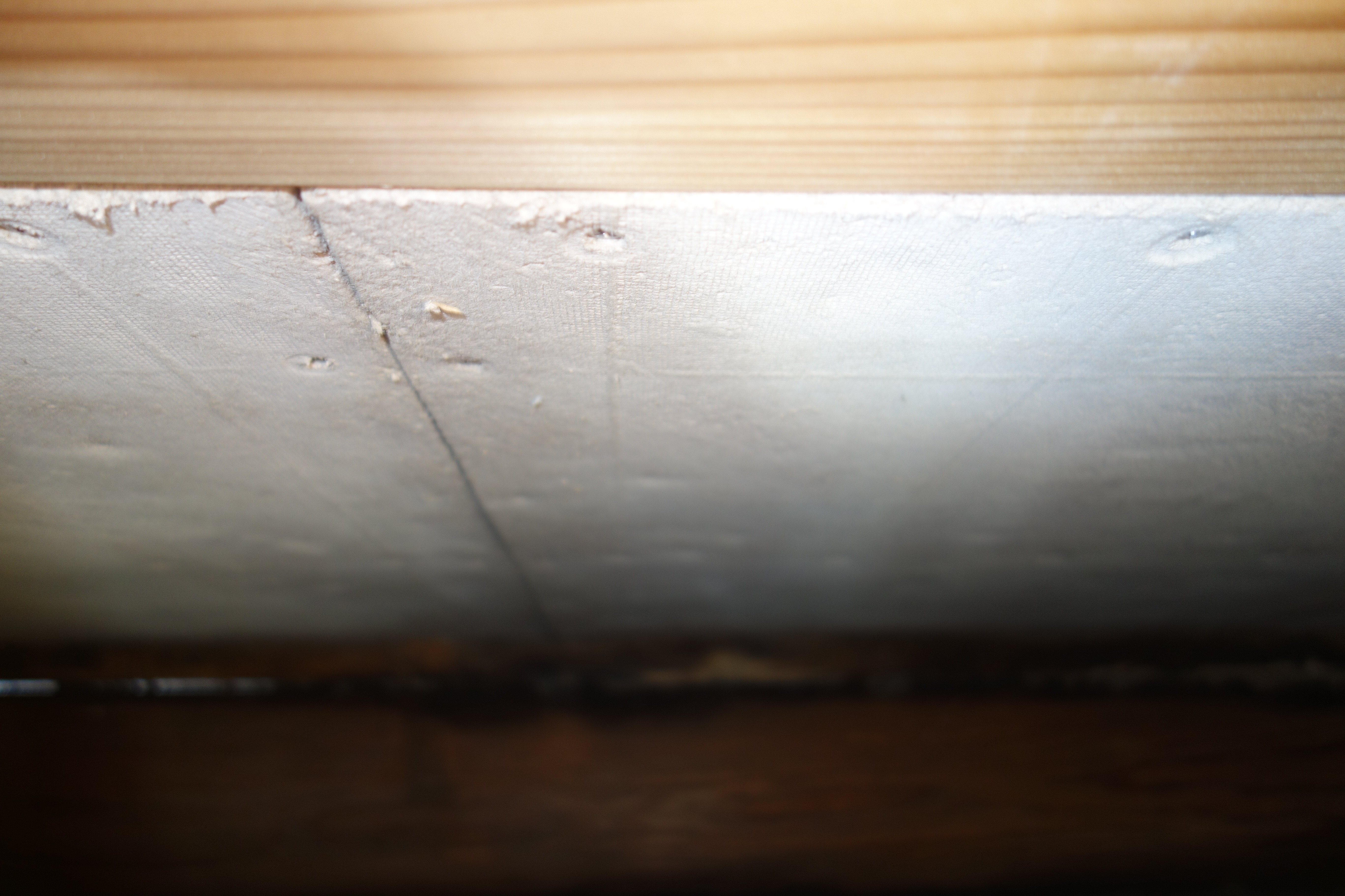 �j���[�X�ʐ^