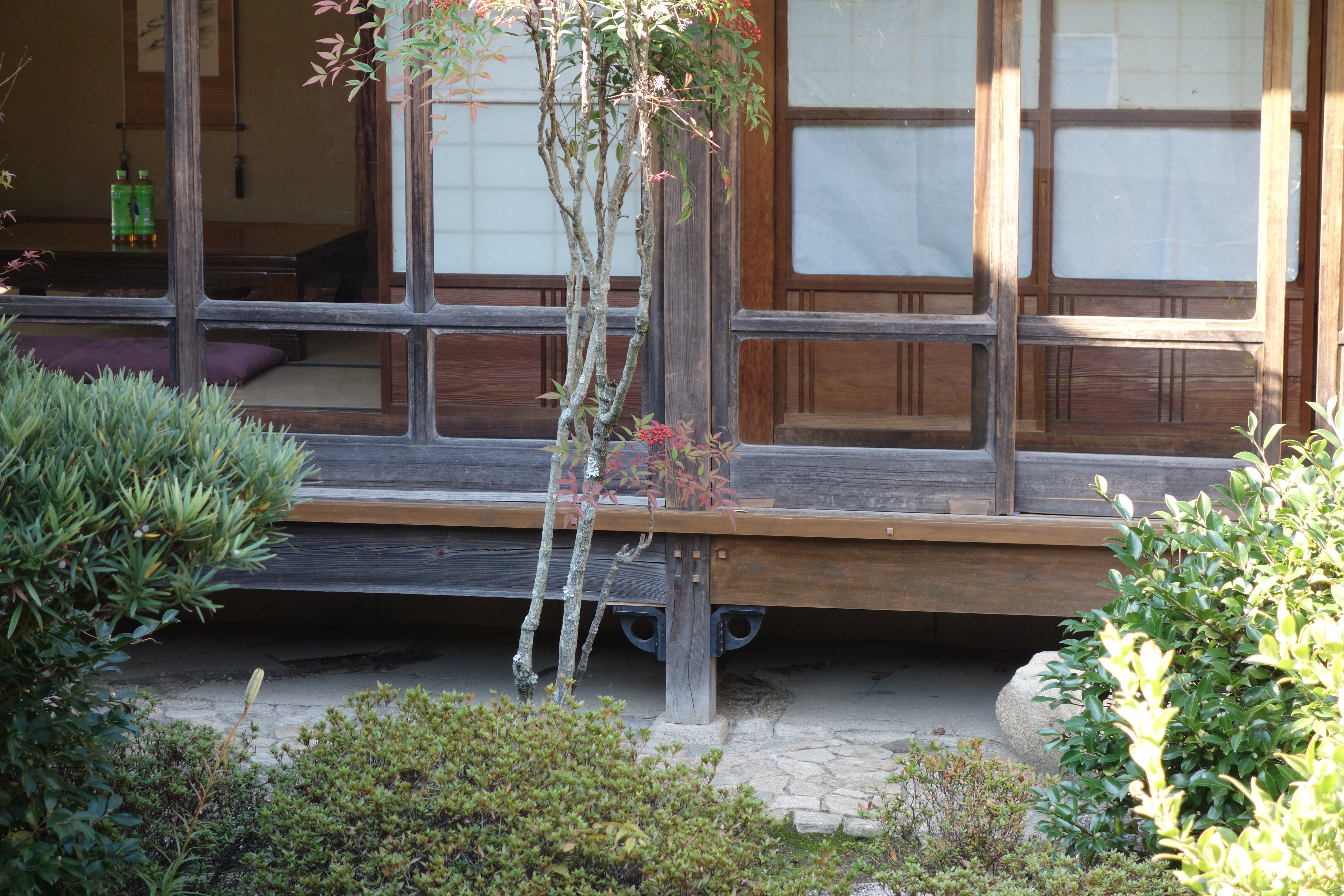 �j���[�X�ʐ^