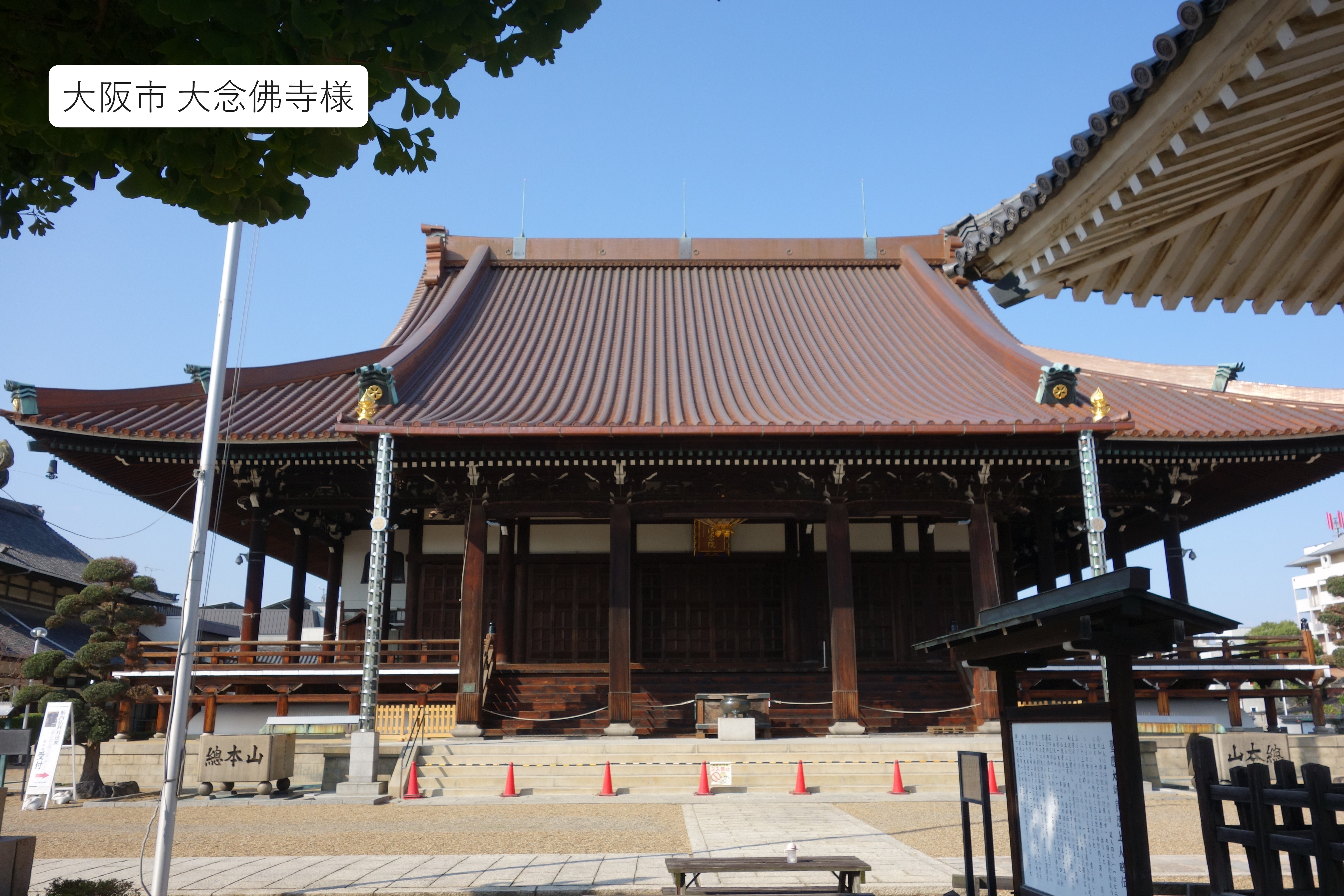 �j���[�X�ʐ^