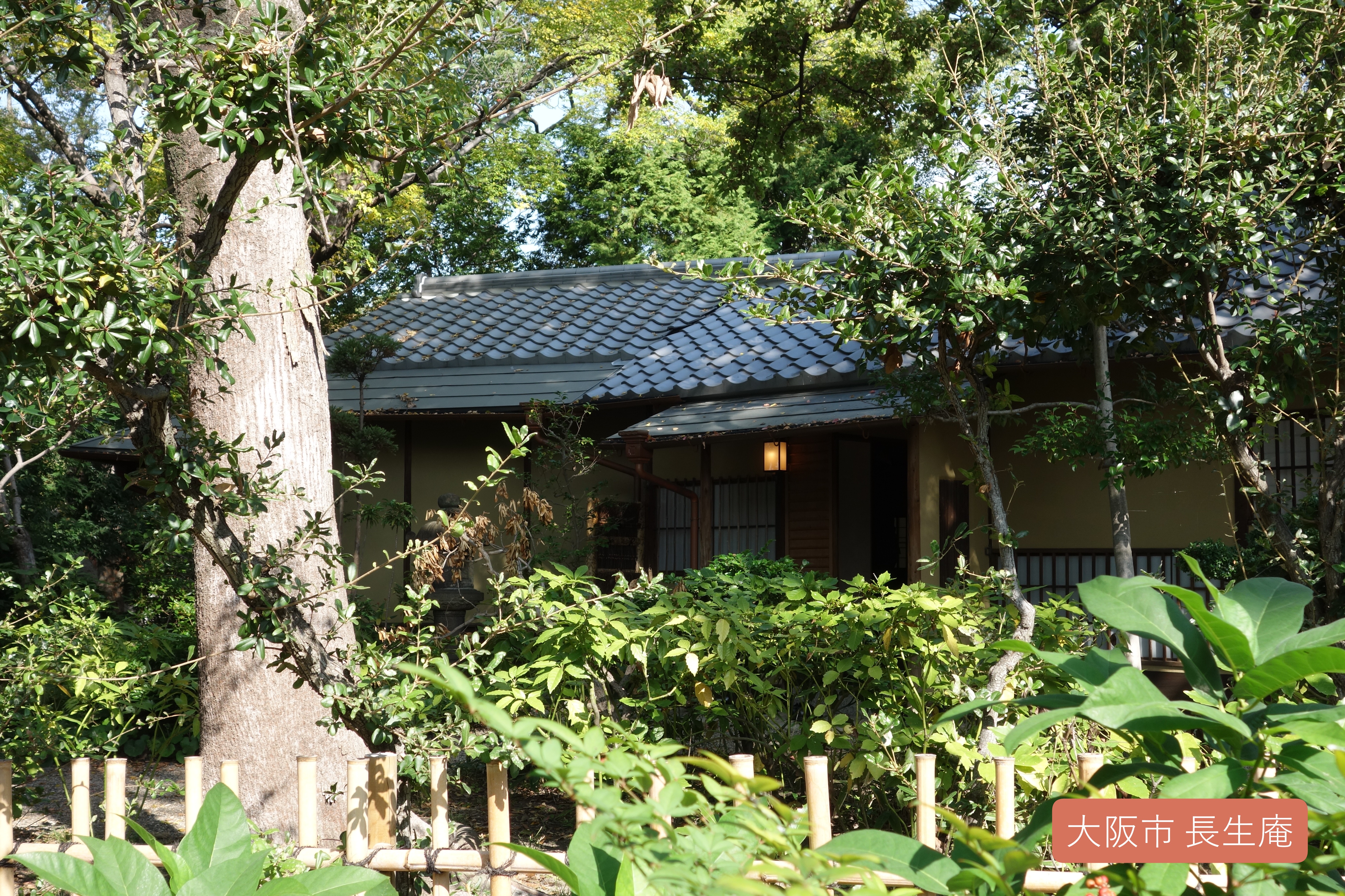 �j���[�X�ʐ^