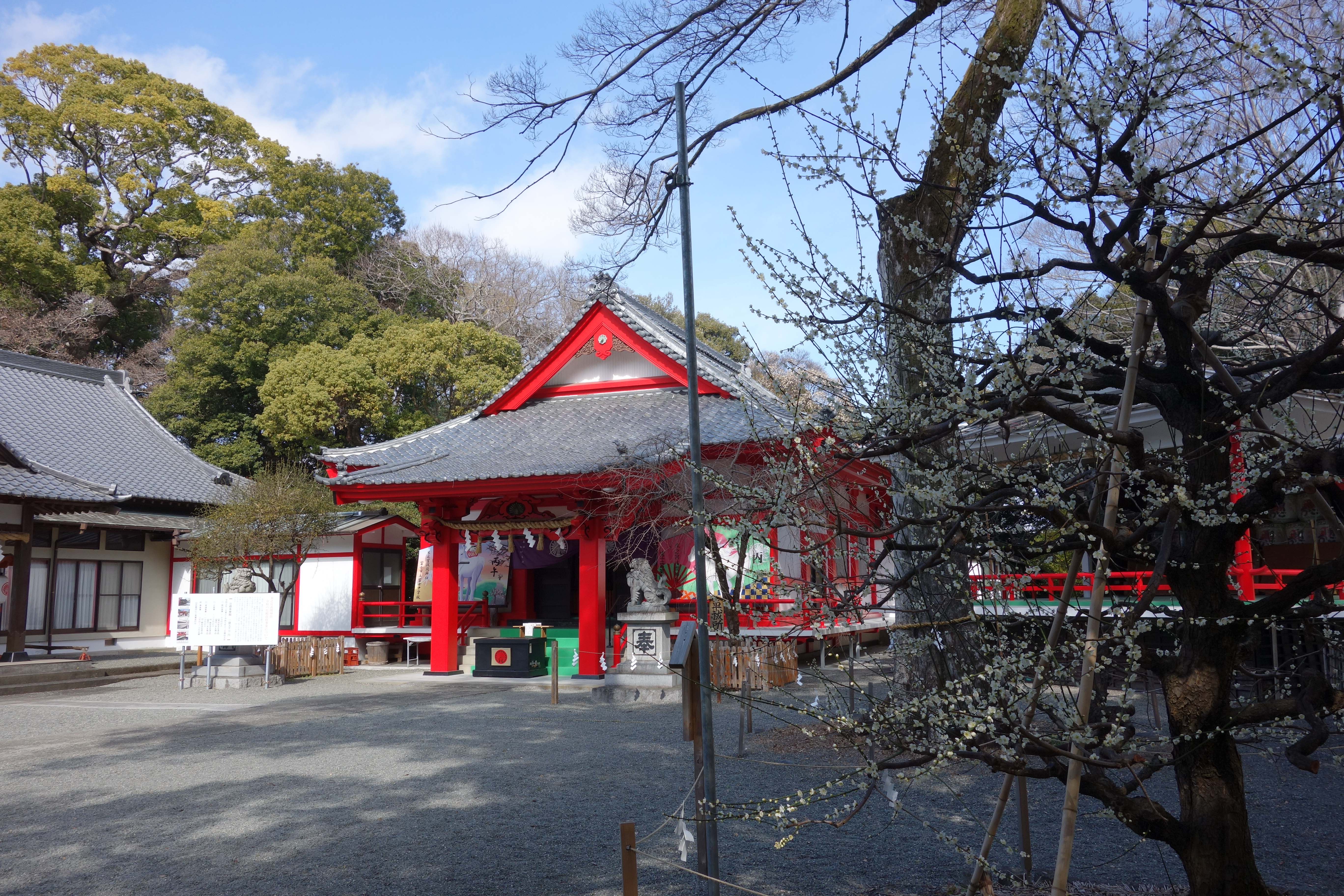 �j���[�X�ʐ^