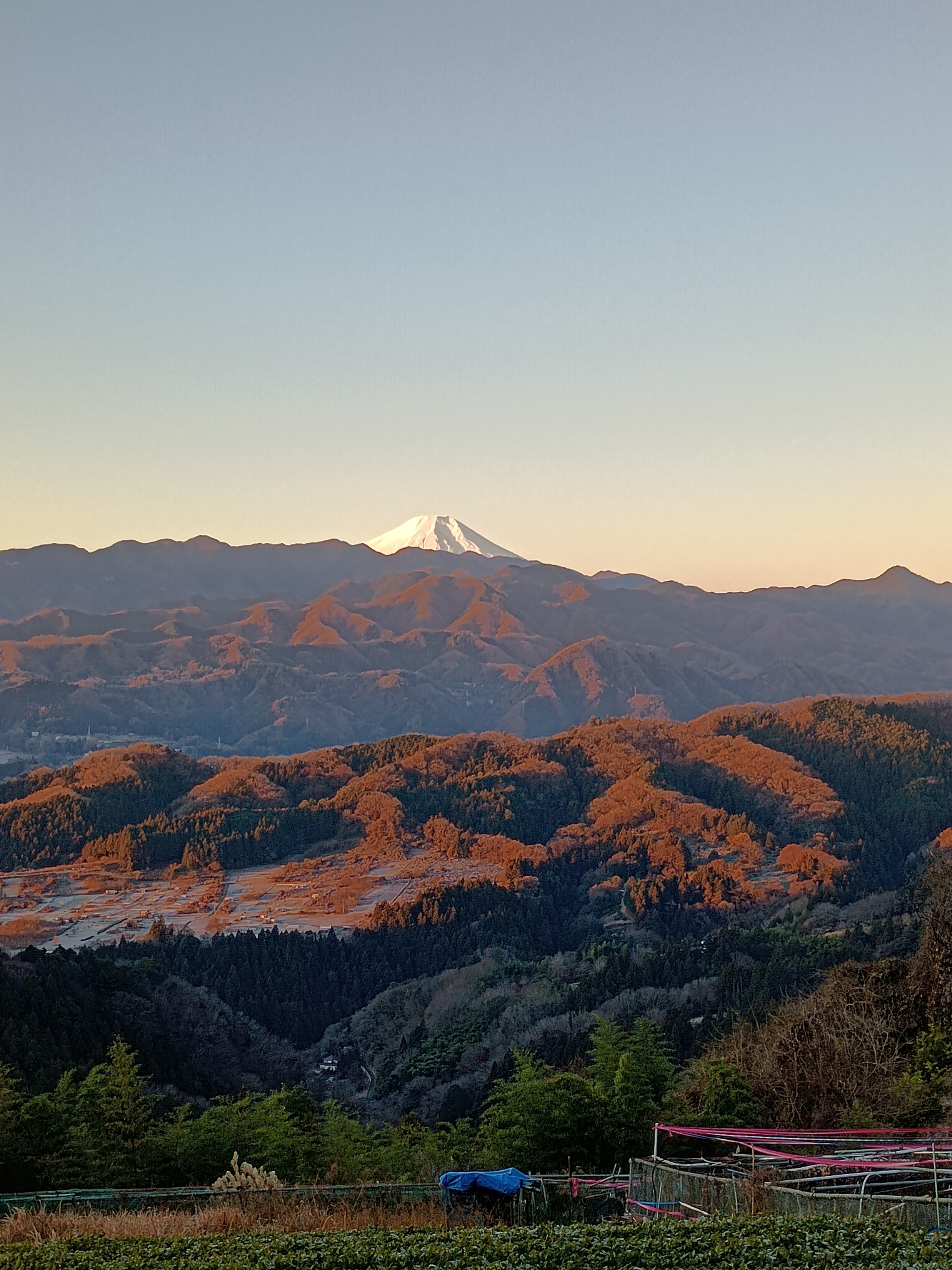 �j���[�X�ʐ^